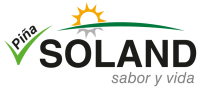 soland-logo-e1597338468438