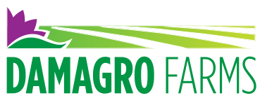 DamagroLogo